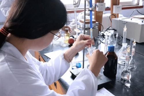 食品营养与检测专业 构筑公共安全检测服务的坚实防线